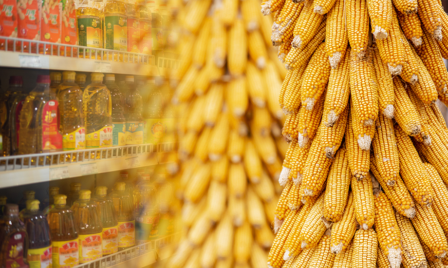 糧油應(yīng)用前處理解決方案