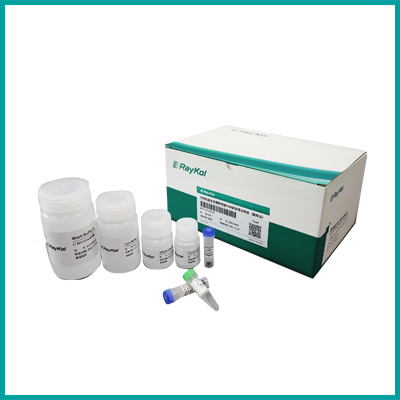 生物制品宿主細胞殘留DNA前處理試劑盒（磁珠法）