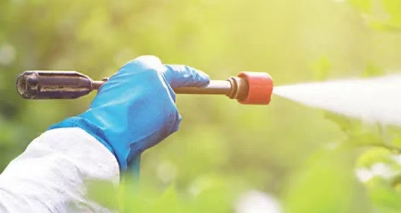 微信圖片_20241008162436.jpg 微信圖片_20241008162436.jpg